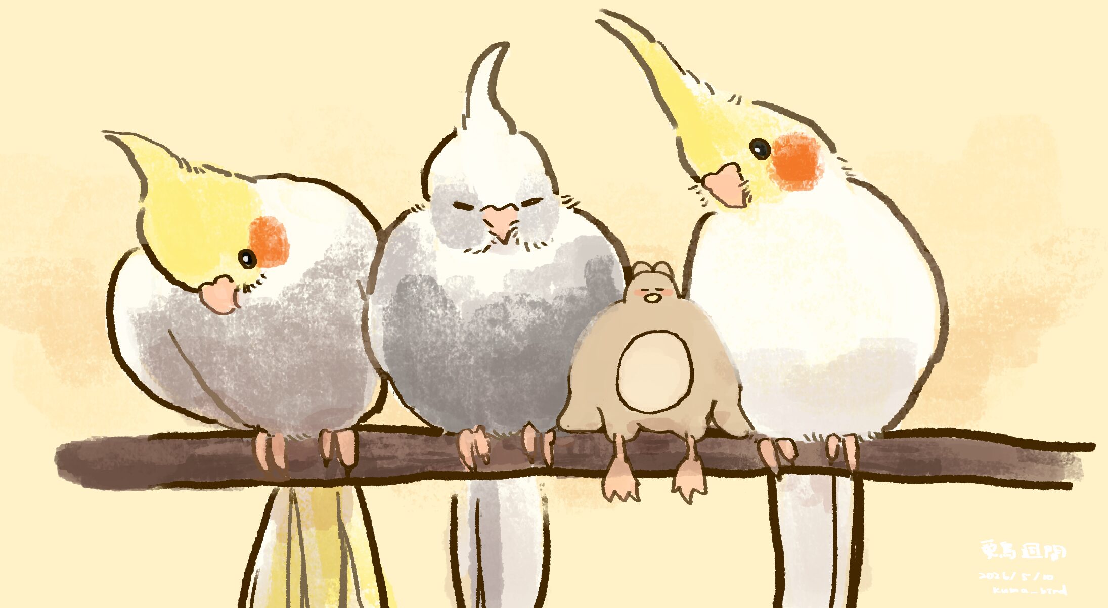 愛鳥週間1オカメインコ